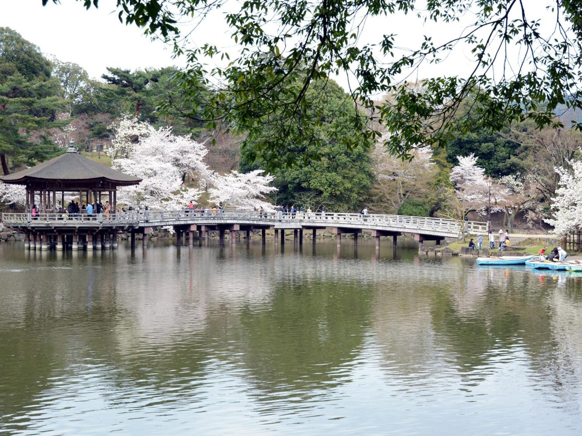 Nara - Hotel / Vacation Stay 47950 Kültér fotó