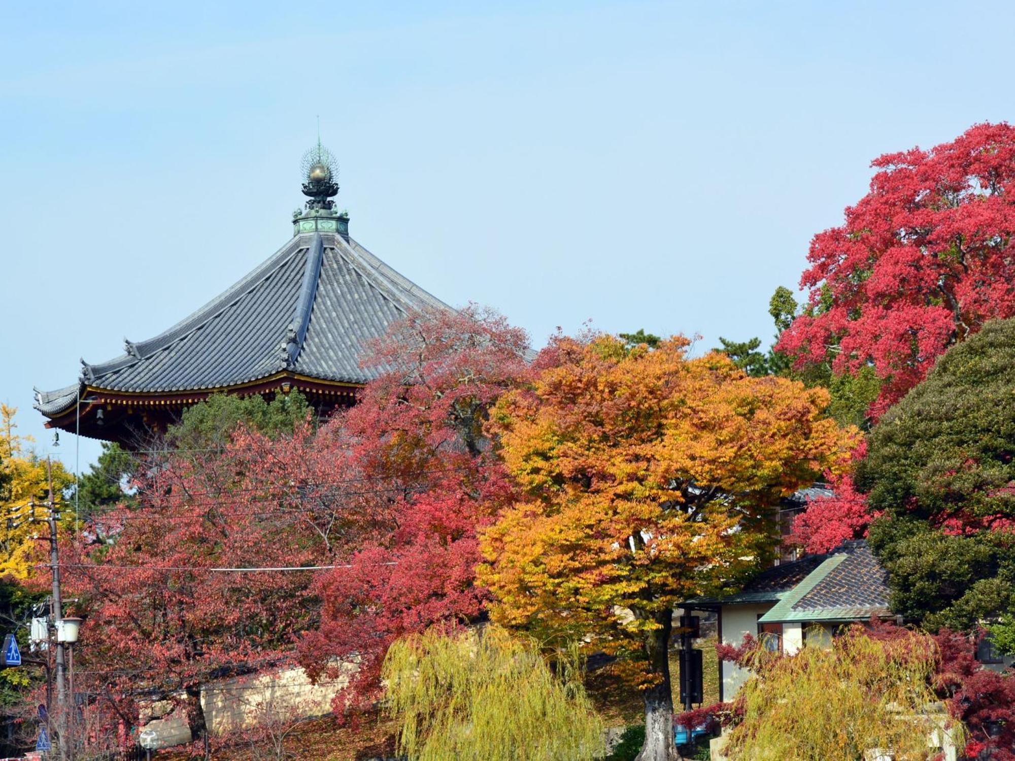 Nara - Hotel / Vacation Stay 47950 Kültér fotó